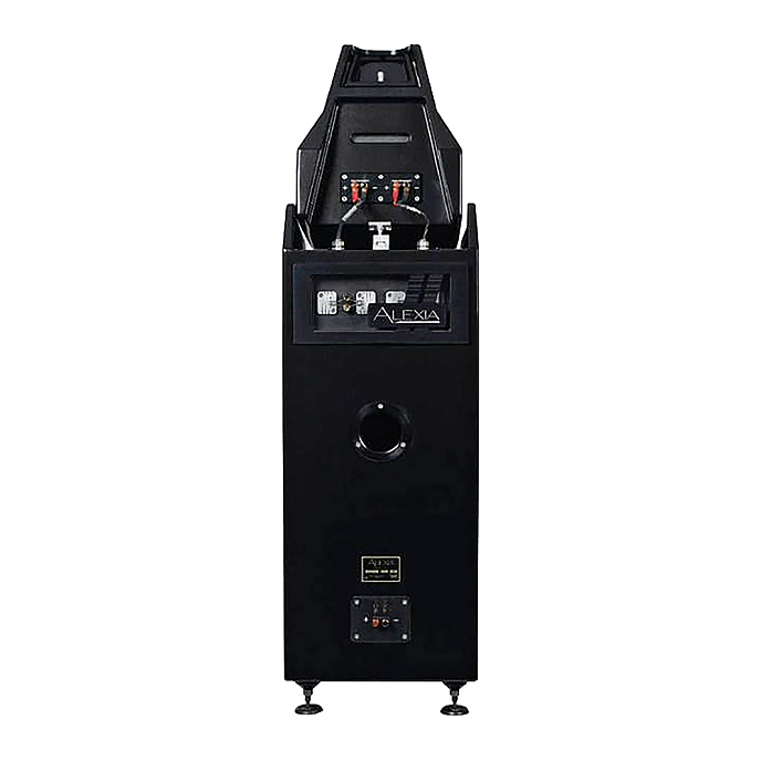 Напольная акустика Wilson Audio Alexia Series 2 Carbon - рис.1