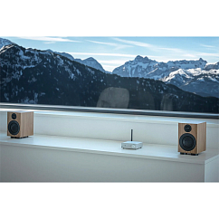 Полочная акустика Pro-Ject Speaker Box 3 E Carbon Walnut