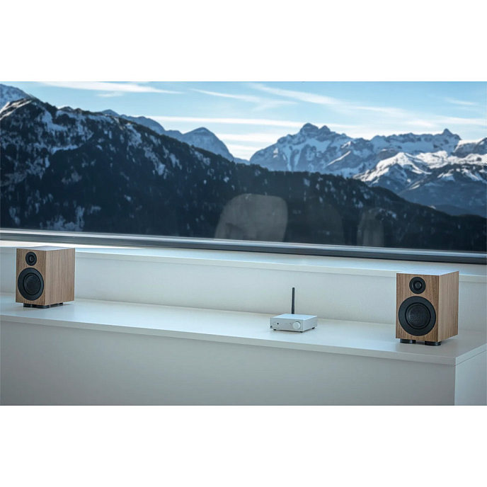 Полочная акустика Pro-Ject Speaker Box 3 E Carbon Walnut - рис.4