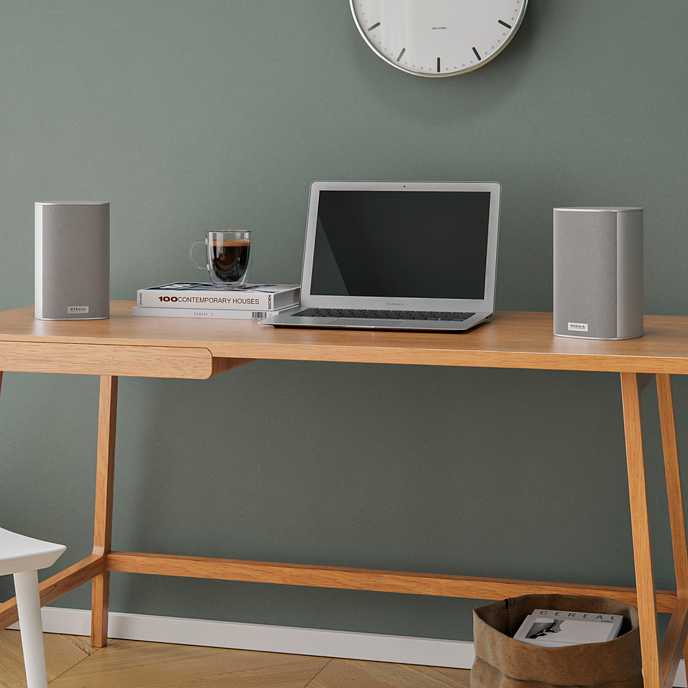 Полочная акустика Piega Ace 30 Wireless RX Silver - рис.4