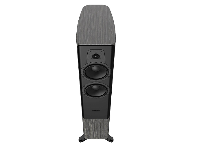 Напольная акустика Dynaudio Contour 30i Grey Oak High Gloss - рис.3