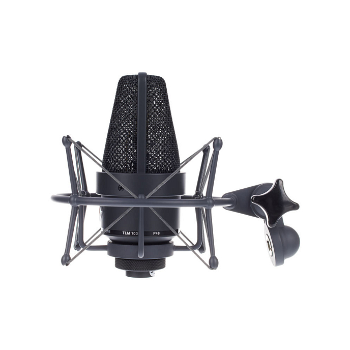Микрофон студийный Neumann TLM 103 MT Stereo Set Black - рис.8