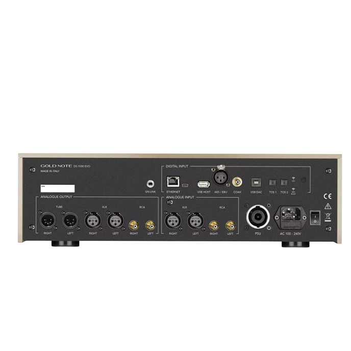 Сетевой аудиоплеер Gold Note DS-1000 Evo Gold - рис.1