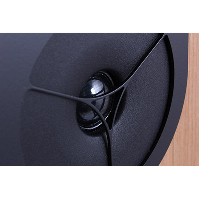 Полочная акустика Rega RX1 Walnut - рис.5