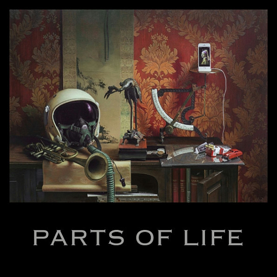 Пластинка PAUL KALKBRENNER PARTS OF LIFE LP - рис.0