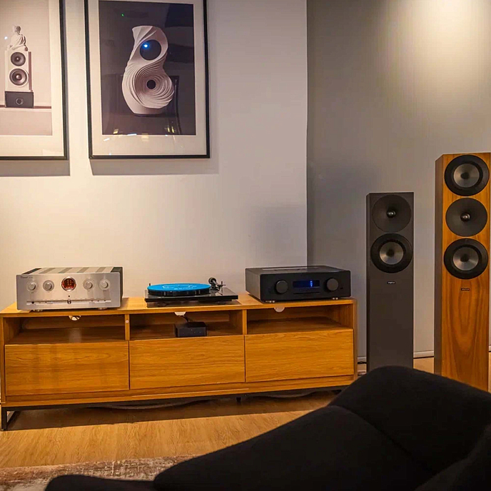 Интегральный усилитель Vincent SV-237MKII SL Silver - рис.9