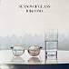 Виниловая пластинка Yoko Ono - Season Of Glass (45th Anniversary) LP - рис.0