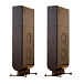 Напольная акустика PS Audio Aspen FR30 Sable Black - рис.0