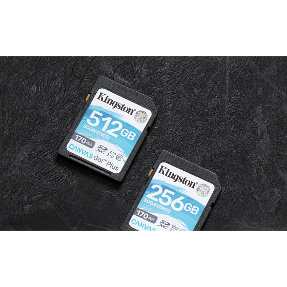 Карта памяти sdxc kingston canvas go plus 256 гб sdg3 256gb
