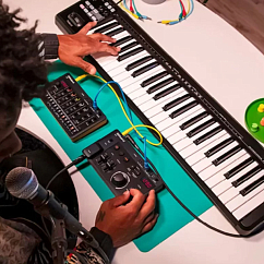 Процессор эффектов Roland Aira Compact E-4 Black Red