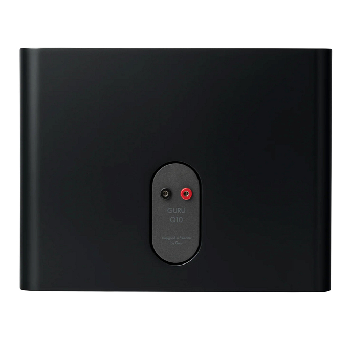 Полочная акустика Guru Q10 Satin Black - рис.1