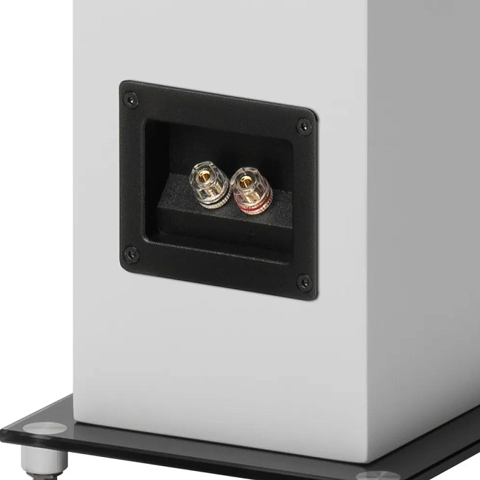 Напольная акустика Pro-Ject Speaker Box 10 E Carbon Satin Black - рис.5