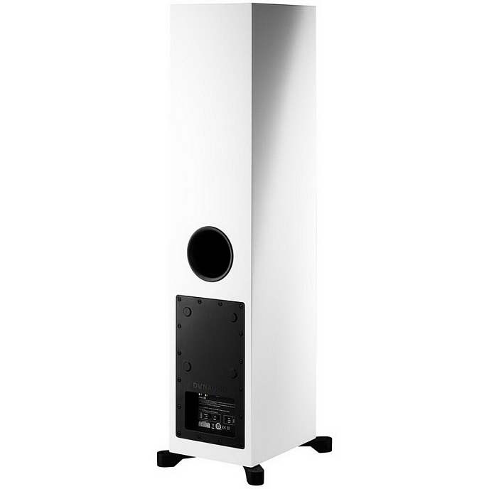 Напольная акустика Dynaudio XEO 30 Satin White - рис.4