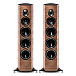 Напольная акустика Sonus Faber Sonetto VIII Wood - рис.0