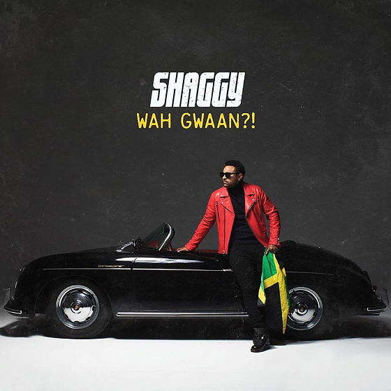 Пластинка Shaggy ‎– Wah Gwaan?! LP - рис.0