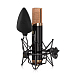 Микрофон студийный iCON Space 251 Black - рис.2