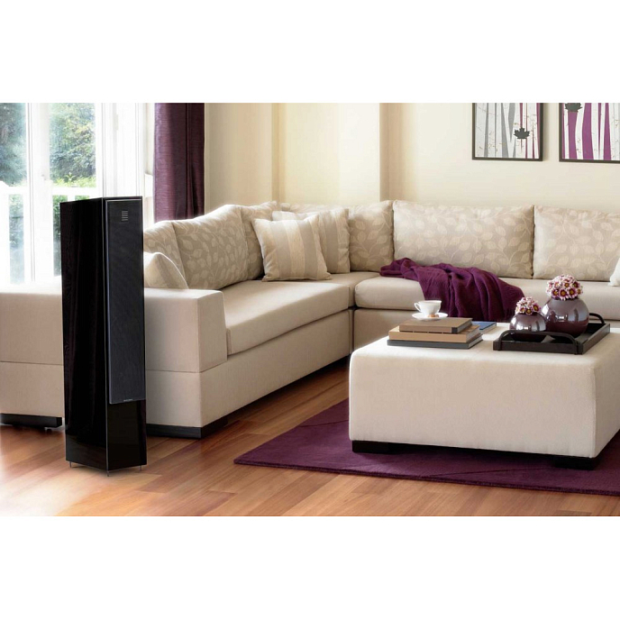 Напольная акустика Martin Logan Motion 20 Gloss Black - рис.5