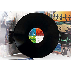 Пластинка David Roth - Will You Come Home 180g 2LP