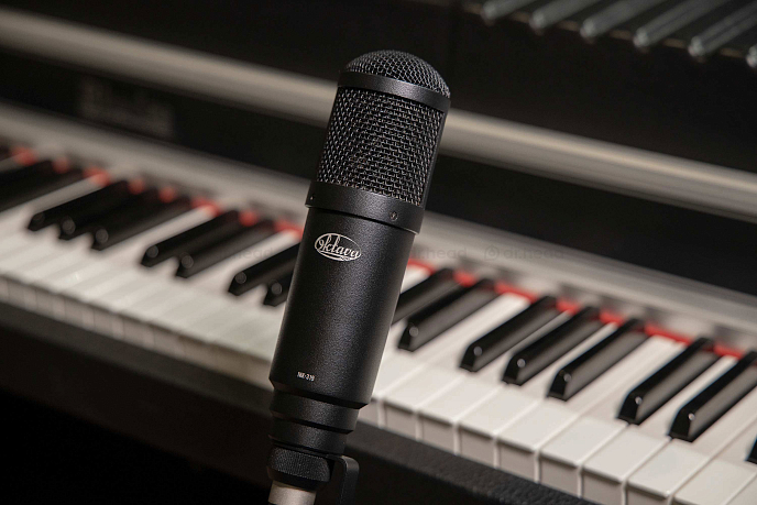 Микрофон студийный Октава МК-319 ФДМ1-02 Black - рис.1