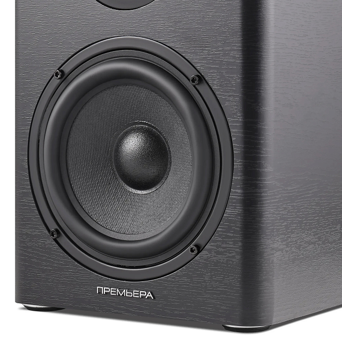 Полочная акустика Premiera ES-701A Black - рис.5