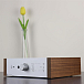 Предусилитель/ЦАП Pro-Ject Pre Box DS2 Digital Silver - рис.3