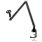 Ridberg Goose MDS09-4