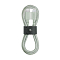 Native Union Belt USB-C - Lightning Green 1.2m