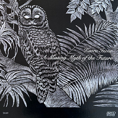Виниловая пластинка Kaoru Inoue - A Missing Myth Of The Future LP