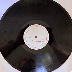 Виниловая пластинка Ambrose Akinmusire, Mary Halvorson - Slo-Mo Neon Luminate Hoverings LP