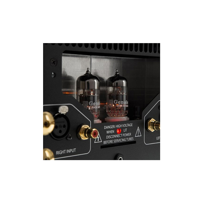 Усилитель мощности PS Audio BHK Signature 250 Silver - рис.5