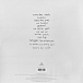 Виниловая пластинка Damon Albarn - Everyday Robots - рис.1