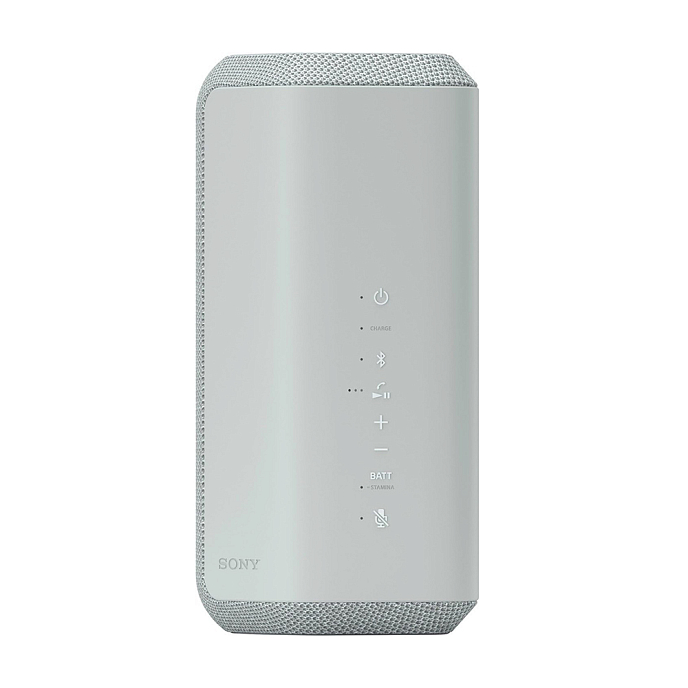 Портативная колонка Sony SRS-XE300 Light Gray - рис.1