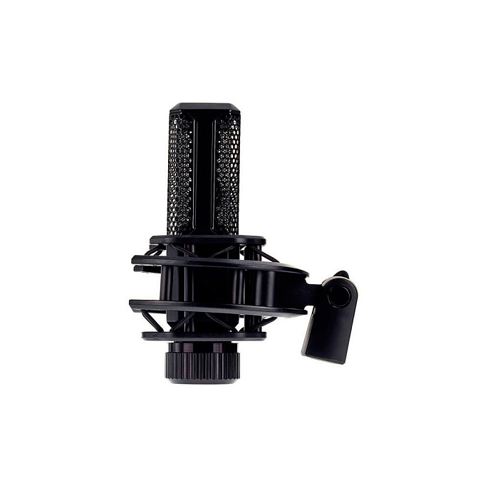 Микрофон студийный Lewitt LCT240 PRO VP Black - рис.4
