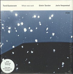 Виниловая пластинка Tord Gustavsen - What Was Said