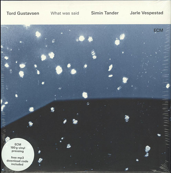 Пластинка Tord Gustavsen - What Was Said - рис.0