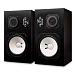 - рис.1 Студийный монитор Avantone Pro CLA-10 Passive Studio Monitor Pair - рис.1
