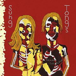 Пластинка Animal Collective – Sung Tongs (Yellow Red ) LP