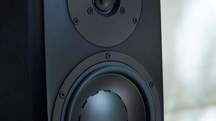 Напольная акустика Dynaudio Focus 30 XD Piano Black - рис.5