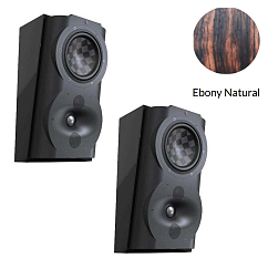 Настенная акустика Perlisten Audio S4s Special Edition Ebony Natural