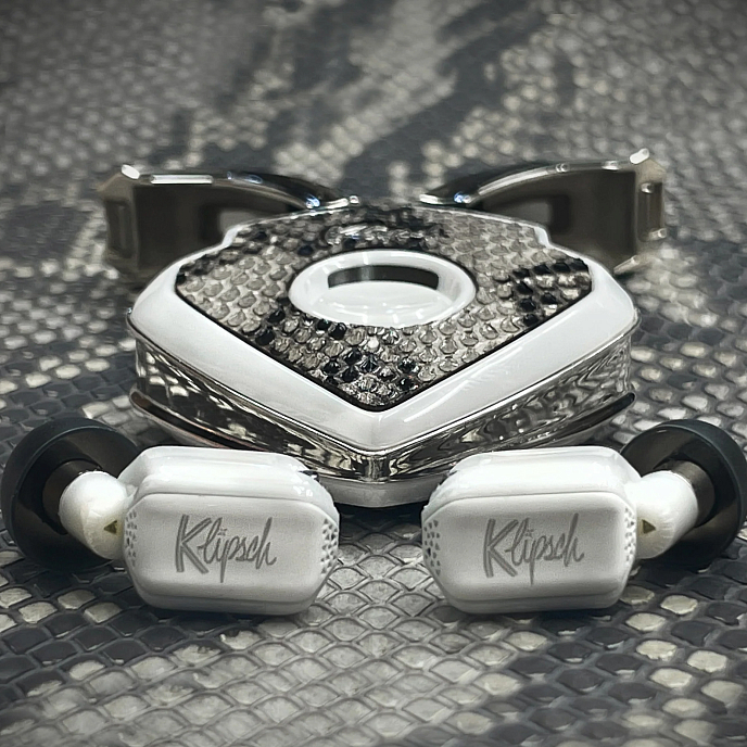 Беспроводные наушники T10 Bespoke Edition Pitone Dargento - рис.1