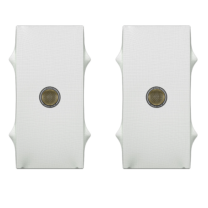 Полочная акустика Gold Note Diana ll Silver Gold - рис.0