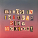 Виниловая пластинка Travis Scott - Birds In The Trap Sing Mcknight - 2LP - рис.8