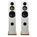 Напольная акустика Davis Acoustics Courbet N 8 White Gloss - рис.1