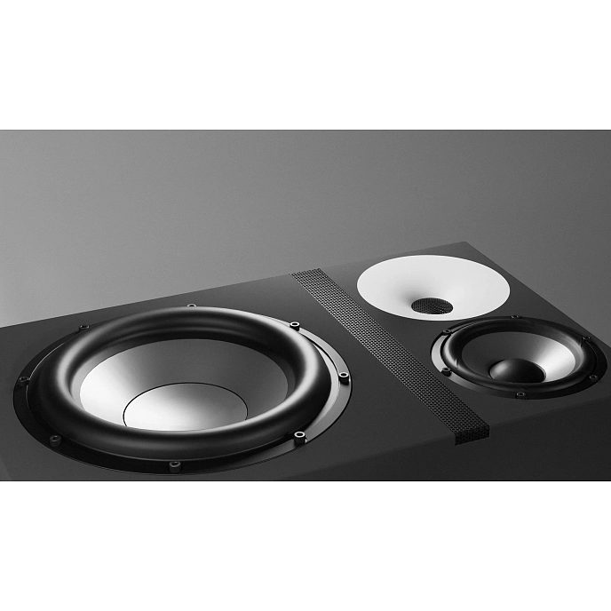 Студийный монитор Amphion One25A pair черный - рис.7