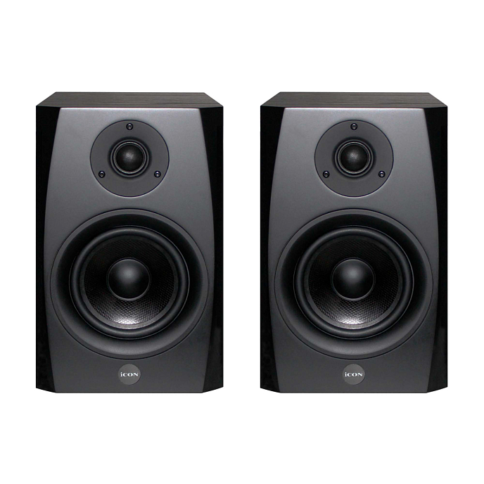 Студийный монитор iCON SX-8A Black - рис.0