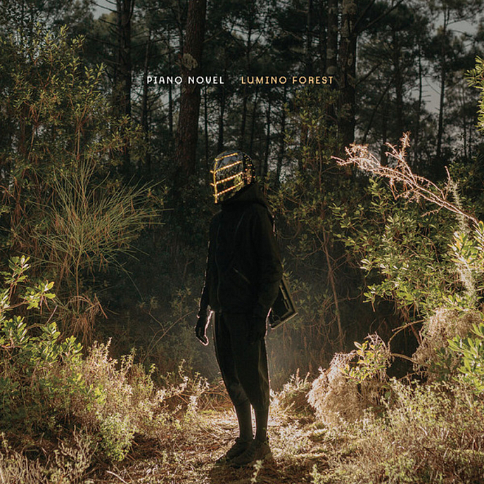 Виниловая пластинка Piano Novel - Lumino Forest LP - рис.0