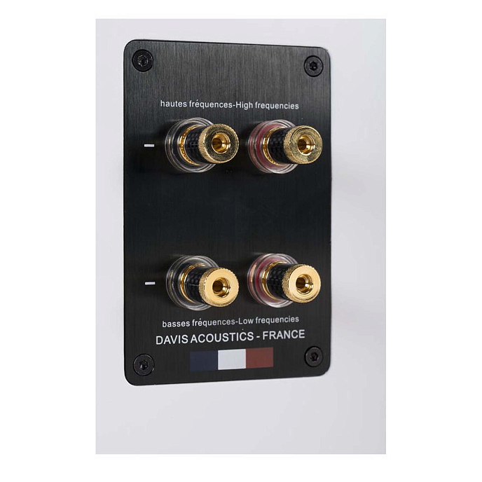 Напольная акустика Davis Acoustics Courbet N 5 White Matte - рис.6