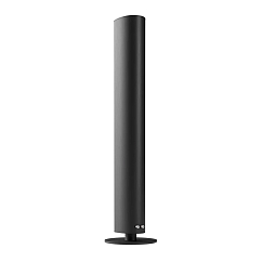 Напольная акустика Piega Ace 50 Black