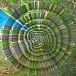 Пластинка Aphex Twin – Collapse LP - рис.0