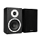 Premiera DS-601 Black